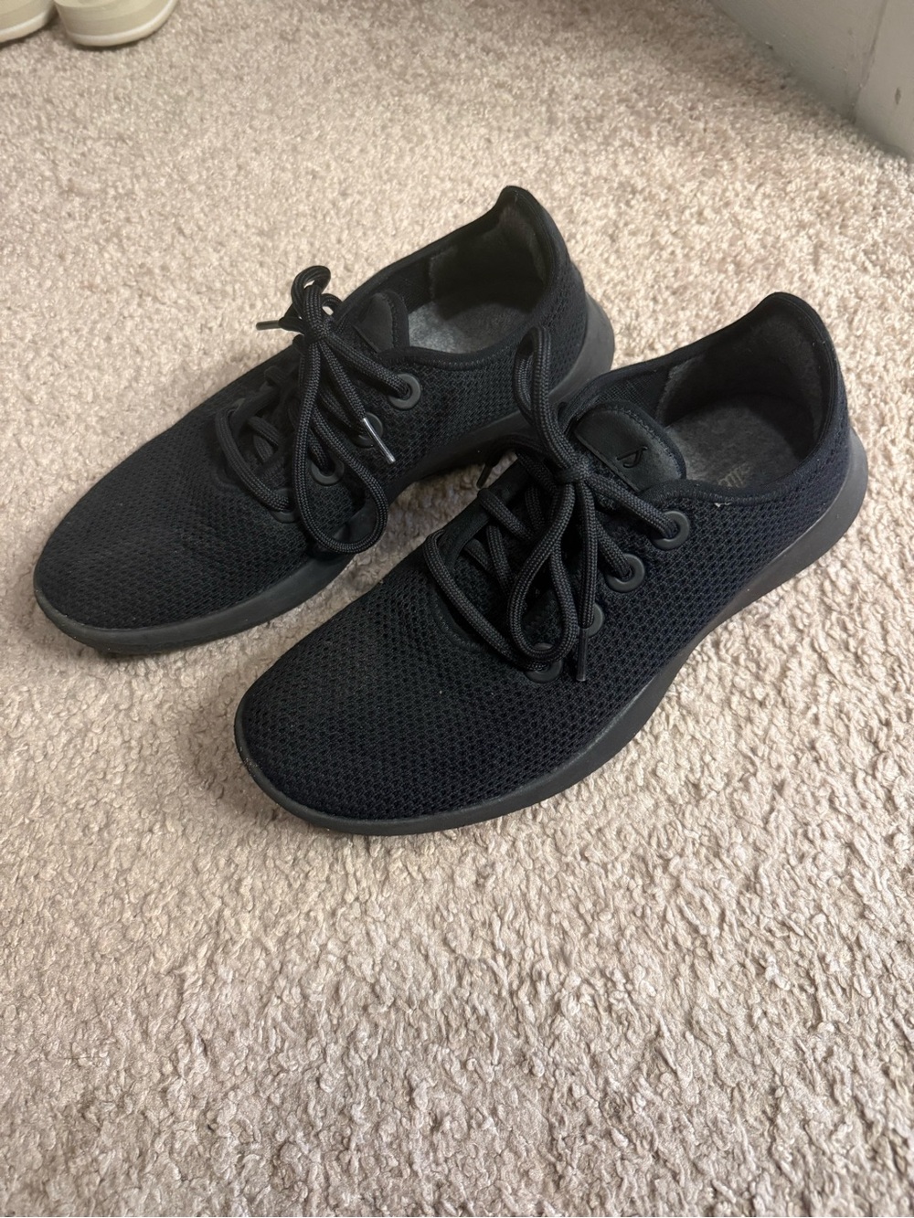 allbirds Women's Black Knit Lace-Up Sneakers